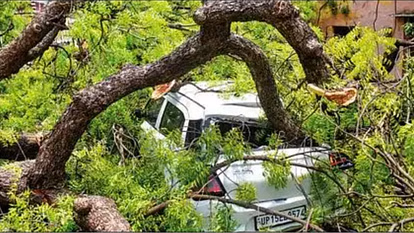 Lucknow: रिमझिम बारिश ने मचाई तबाही, जर्जर मकान ढहा, वाहन क्षतिग्रस्त Lucknow: रिमझिम बारिश ने मचाई तबाही, जर्जर मकान ढहा, वाहन क्षतिग्रस्त
