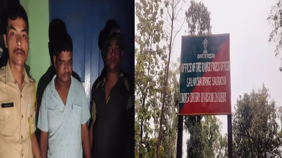 Assam के सरपोमारी रिजर्व वन में अवैध कटाई से तबाही, एक व्यक्ति गिरफ्तार Assam के सरपोमारी रिजर्व वन में अवैध कटाई से तबाही, एक व्यक्ति गिरफ्तार
