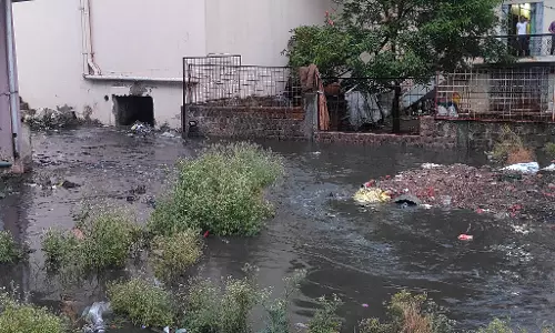 Nawabganj: झमाझम बारिश ने बढ़ाई मुश्किलें, गलियों में भरा गंदा पानी