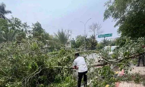 Chandigarh, पंजाब और हरियाणा के कुछ हिस्सों में बारिश