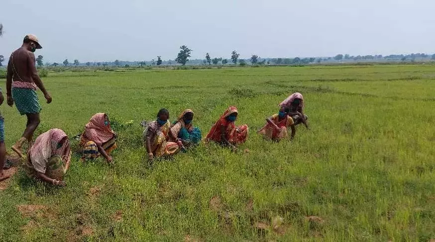 Kurnool में तम्बाकू किसानों ने किया विरोध प्रदर्शन Kurnool में तम्बाकू किसानों ने किया विरोध प्रदर्शन
