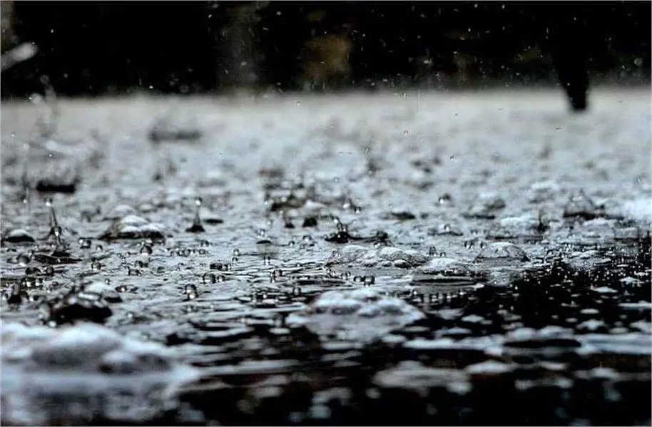 Himachal: बारिश का कहर, स्यांज में 9 लोग बहे बचाव कार्य जारी Himachal: बारिश का कहर, स्यांज में 9 लोग बहे बचाव कार्य जारी