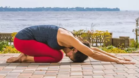 बालासन: तनाव कम करने और सुकून देने वाला आसान योग बालासन: तनाव कम करने और सुकून देने वाला आसान योग