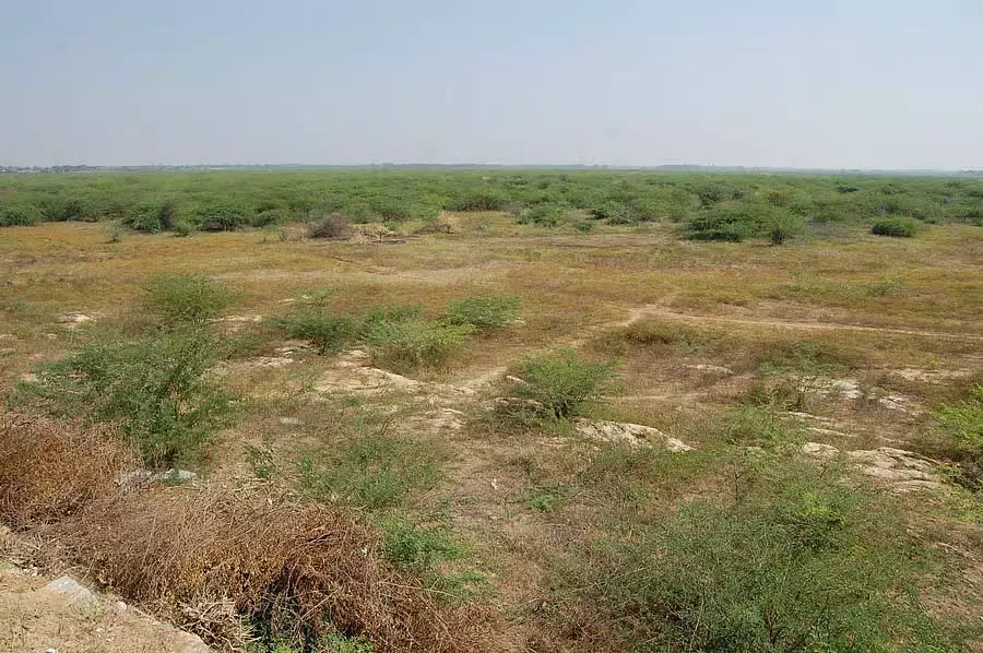 Tumkur : बारिश की कमी, बुवाई में बाधा Tumkur : बारिश की कमी, बुवाई में बाधा