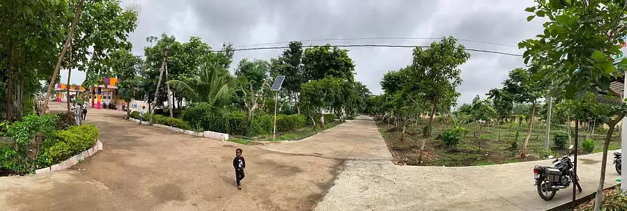 Karnataka : कलगी और मंगलगी डॉक्टरों की हरित क्रांति Karnataka : कलगी और मंगलगी डॉक्टरों की हरित क्रांति
