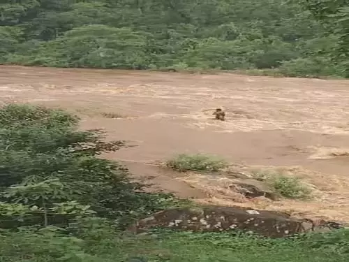 बाढ़ में बहे युवक की मौत, छत्तीसगढ़ में हो रही तेज बारिश बाढ़ में बहे युवक की मौत, छत्तीसगढ़ में हो रही तेज बारिश