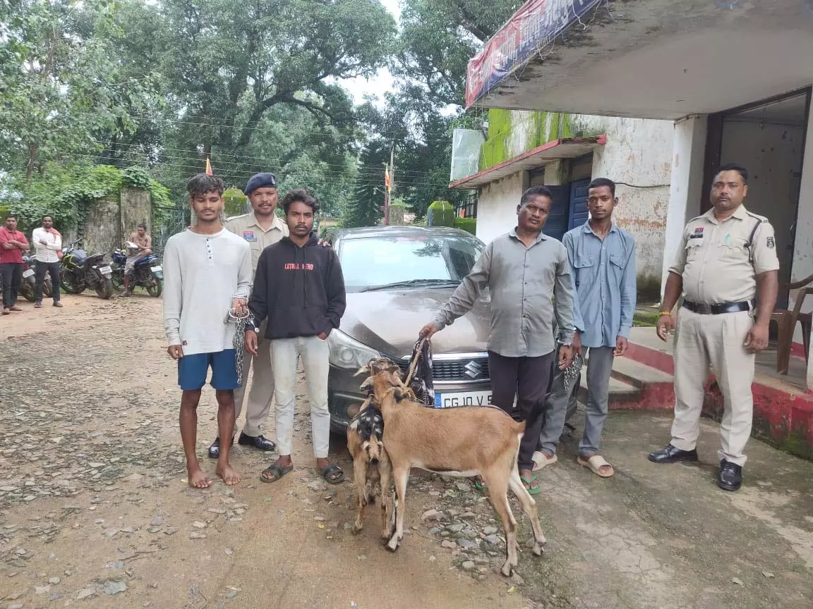 CG BREAKING: फिल्मी स्टाइल में पीछाकर पुलिस ने पकड़ा बकरी चोर गिरोह CG BREAKING: फिल्मी स्टाइल में पीछाकर पुलिस ने पकड़ा बकरी चोर गिरोह