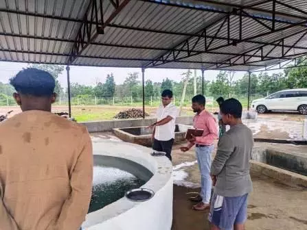 कलेक्टर संबित ने नैमेड़ स्थित फिश हैचरी का किया अवलोकन कलेक्टर संबित ने नैमेड़ स्थित फिश हैचरी का किया अवलोकन
