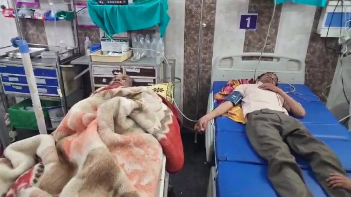 जहरीला मशरूम खाने से एक ही परिवार के 10 लोग बीमार, अस्पताल में भर्ती जहरीला मशरूम खाने से एक ही परिवार के 10 लोग बीमार, अस्पताल में भर्ती
