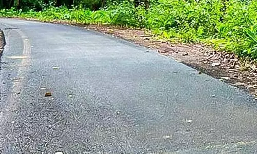 प्लास्टिक कचरे से बनी सड़क