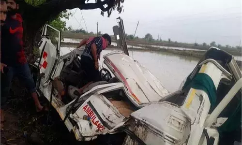 MP News: प्रसव के बाद महिला को घर छोड़ने जा रही एंबुलेंस पेड़ से टकराई, तीन लोगों की मौत MP News: प्रसव के बाद महिला को घर छोड़ने जा रही एंबुलेंस पेड़ से टकराई, तीन लोगों की मौत