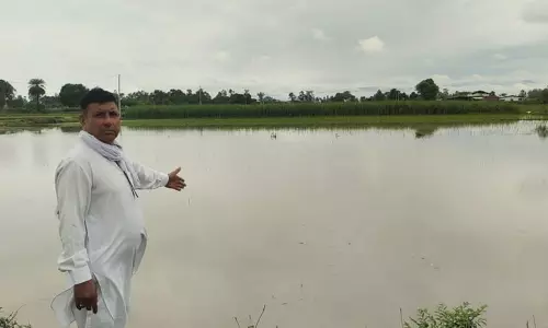 अंबाला में चावल के खेतों में पानी भरने से किसानों को नुकसान का सामना करना पड़ रहा है अंबाला में चावल के खेतों में पानी भरने से किसानों को नुकसान का सामना करना पड़ रहा है