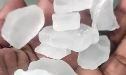 क्या आपका कपूर असली है? पहचानें भीमसेनी कपूर और करें शुद्धता का अनुभव