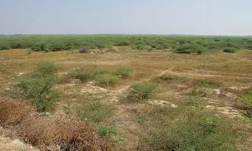 Tumkur : बारिश की कमी, बुवाई में बाधा Tumkur : बारिश की कमी, बुवाई में बाधा