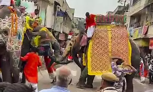 वंतारा ने अहमदाबाद रथ यात्रा के दौरान उग्र हुए हाथियों की देखभाल की वंतारा ने अहमदाबाद रथ यात्रा के दौरान उग्र हुए हाथियों की देखभाल की