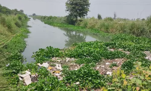 Punjab :  एक दशक बाद पुरानी बीकानेर नहर से गाद निकालने का काम शुरू