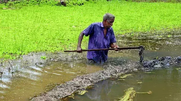 Kerala में भारी बारिश की आशंका; तीन जिलों के लिए विशेष चेतावनी जारी