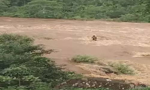 बाढ़ में बहे युवक की मौत, छत्तीसगढ़ में हो रही तेज बारिश बाढ़ में बहे युवक की मौत, छत्तीसगढ़ में हो रही तेज बारिश