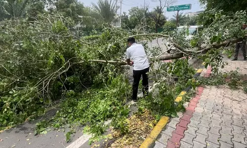 चंडीगढ़, पंजाब और हरियाणा के कुछ हिस्सों में बारिश