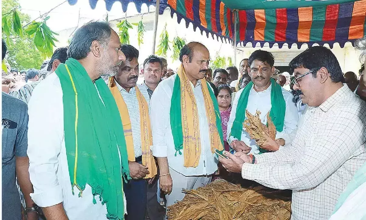 Andhra: तम्बाकू खरीद केन्द्रों का उद्घाटन Andhra: तम्बाकू खरीद केन्द्रों का उद्घाटन