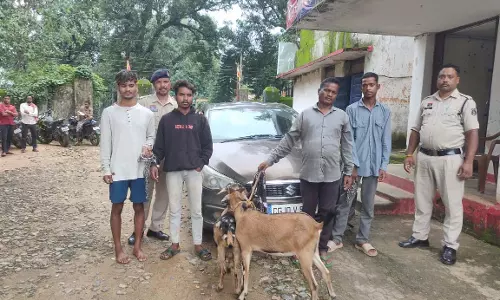 CG BREAKING: फिल्मी स्टाइल में पीछाकर पुलिस ने पकड़ा बकरी चोर गिरोह CG BREAKING: फिल्मी स्टाइल में पीछाकर पुलिस ने पकड़ा बकरी चोर गिरोह