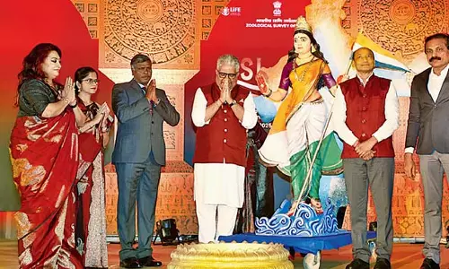 देश में एक वर्ष में 683 प्रजातियों की खोज हुई देश में एक वर्ष में 683 प्रजातियों की खोज हुई