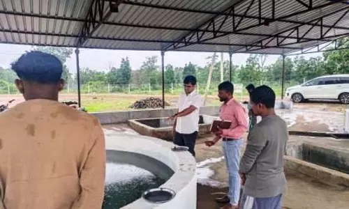 कलेक्टर संबित ने नैमेड़ स्थित फिश हैचरी का किया अवलोकन कलेक्टर संबित ने नैमेड़ स्थित फिश हैचरी का किया अवलोकन