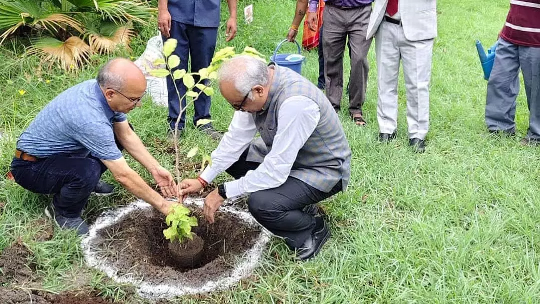 मध्य प्रदेश का पहला RET औषधीय पौधारोपण अभियान शुरू हुआ मध्य प्रदेश का पहला RET औषधीय पौधारोपण अभियान शुरू हुआ