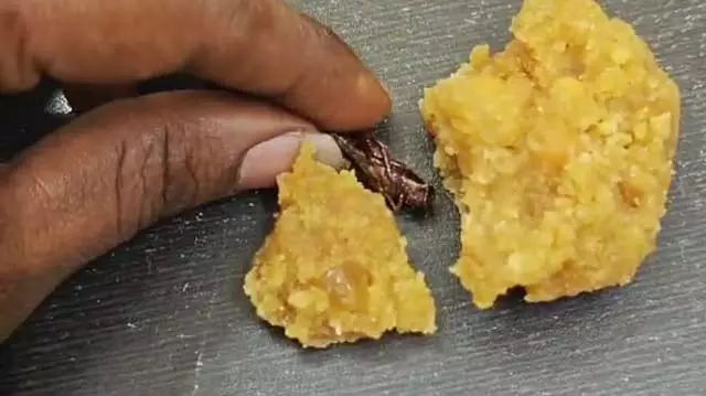 Andhra में श्रीशैलम लड्डू पर झूठा दावा करने पर व्यक्ति पर मामला दर्ज Andhra में श्रीशैलम लड्डू पर झूठा दावा करने पर व्यक्ति पर मामला दर्ज