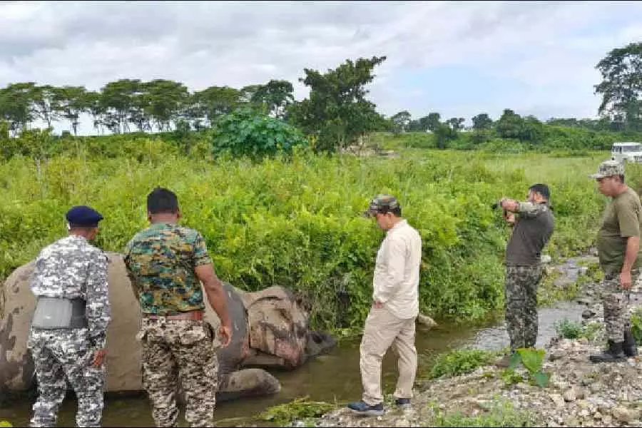 अधिकारियों ने Siliguri के बाहरी इलाके में वन क्षेत्र में गर्भवती विशालकाय जानवर को मृत पाया अधिकारियों ने Siliguri के बाहरी इलाके में वन क्षेत्र में गर्भवती विशालकाय जानवर को मृत पाया