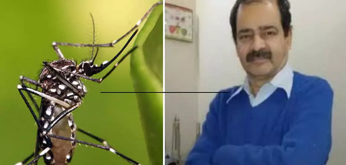 जबलपुर के वरिष्ठ डॉक्टर की डेंगू से मौत; पहली स्क्रीनिंग जांच में रिपोर्ट निगेटिव आई जबलपुर के वरिष्ठ डॉक्टर की डेंगू से मौत; पहली स्क्रीनिंग जांच में रिपोर्ट निगेटिव आई