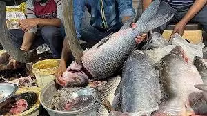 Jharkhand : स्कूलों के आसपास नहीं बिकेगी मांस-मछली, तंबाकू की खरीद-बिक्री पर भी रोक Jharkhand : स्कूलों के आसपास नहीं बिकेगी मांस-मछली, तंबाकू की खरीद-बिक्री पर भी रोक