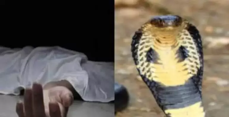 Hathras: सर्पदंश बना काल, महिला की मौत से गांव में शोक Hathras: सर्पदंश बना काल, महिला की मौत से गांव में शोक