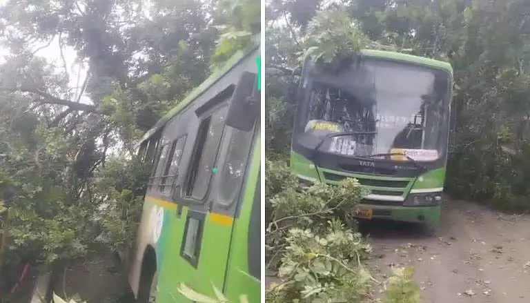 चिंचवाड़ स्टेशन के पास चलती PMPML बस पर पेड़ गिरा; सात लोग घायल चिंचवाड़ स्टेशन के पास चलती PMPML बस पर पेड़ गिरा; सात लोग घायल