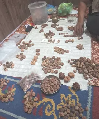 पूर्वी नेपाल में रुद्राक्ष की धूम में चीनी व्यापारी भी भारतीय व्यापारियों के साथ शामिल पूर्वी नेपाल में रुद्राक्ष की धूम में चीनी व्यापारी भी भारतीय व्यापारियों के साथ शामिल