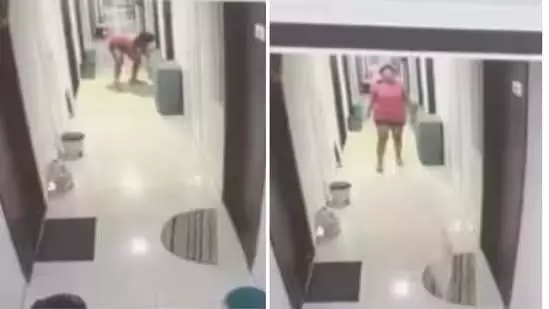 Pune : महिला की क्रूरता, पालतू बिल्ली को पटकने का वीडियो वायरल Pune : महिला की क्रूरता, पालतू बिल्ली को पटकने का वीडियो वायरल