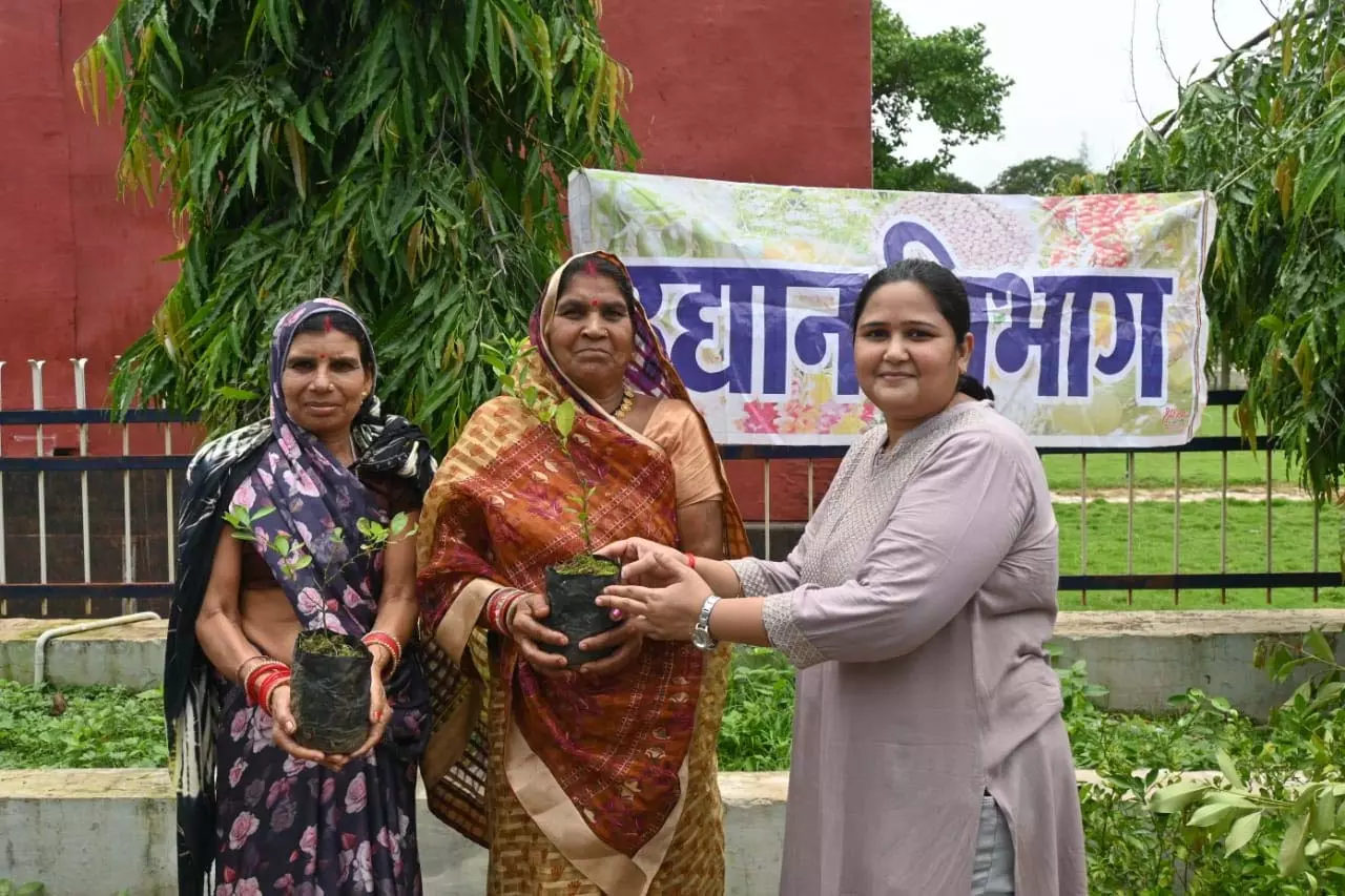 उद्यानिकी विभाग ने 500 पौधों का किया निःशुल्क वितरण उद्यानिकी विभाग ने 500 पौधों का किया निःशुल्क वितरण
