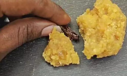 Andhra में श्रीशैलम लड्डू पर झूठा दावा करने पर व्यक्ति पर मामला दर्ज