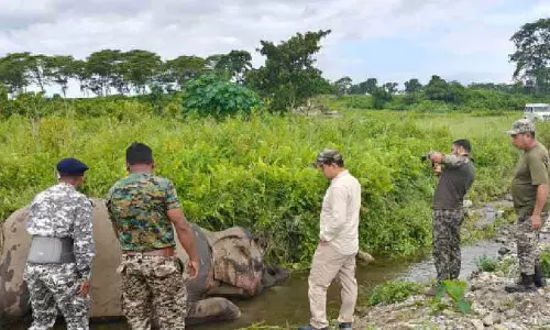 अधिकारियों ने Siliguri के बाहरी इलाके में वन क्षेत्र में गर्भवती विशालकाय जानवर को मृत पाया अधिकारियों ने Siliguri के बाहरी इलाके में वन क्षेत्र में गर्भवती विशालकाय जानवर को मृत पाया