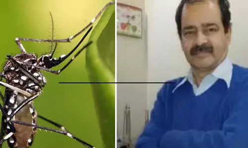 जबलपुर के वरिष्ठ डॉक्टर की डेंगू से मौत; पहली स्क्रीनिंग जांच में रिपोर्ट निगेटिव आई