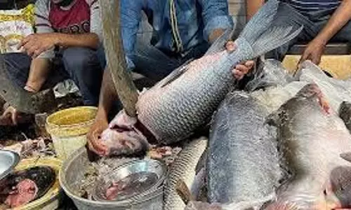 Jharkhand : स्कूलों के आसपास नहीं बिकेगी मांस-मछली, तंबाकू की खरीद-बिक्री पर भी रोक