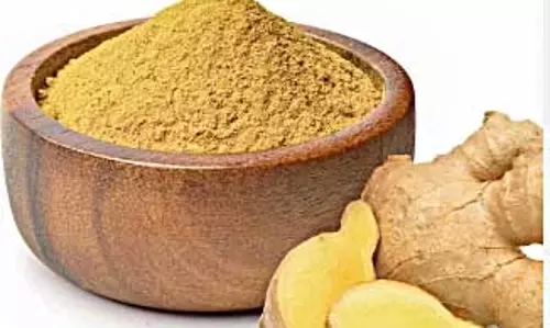 कच्ची ही नहीं, भुनी अदरक भी फायदेमंद, कई बीमारियों की करती है छुट्टी