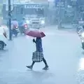 भारी बारिश की चेतावनी केरल के 3 जिले आज येलो अलर्ट पर भारी बारिश की चेतावनी केरल के 3 जिले आज येलो अलर्ट पर