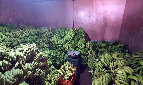 FDA ने अवैध खाद्य विक्रेताओं पर शिकंजा कसा