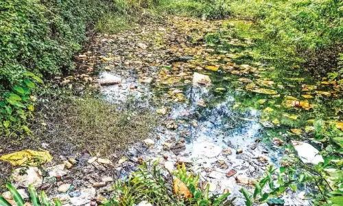 माला पल्लीपुरम रोड; प्लास्टिक कचरे का ढेर