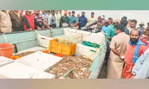 समुद्र में मछली पकड़ने वाले जाल का उपयोग कर चार नावें पकड़ी गई समुद्र में मछली पकड़ने वाले जाल का उपयोग कर चार नावें पकड़ी गई