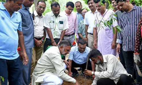 Jaipur: ऊर्जा मंत्री ने किया पौधारोपण, ‘एक पेड़ मां के नाम’ अभियान को दी गति