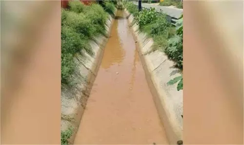 Punjab: रजवाहे में गिरने से ढाई साल की बच्ची की मौत