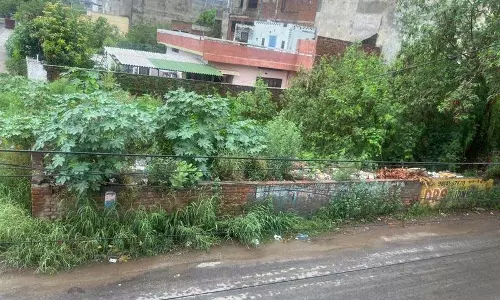 Jalandhar: खाली पड़े भूखंड अपराधियों और नशेड़ियों के लिए स्वर्ग बन गए