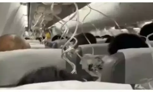 पैर अभी भी कांप रहे हैं: Japan एयरलाइंस का विमान 26,000 फीट नीचे गिरा पैर अभी भी कांप रहे हैं: Japan एयरलाइंस का विमान 26,000 फीट नीचे गिरा